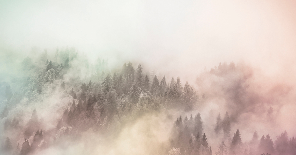 Nouveautés Automne-Hiver 2026