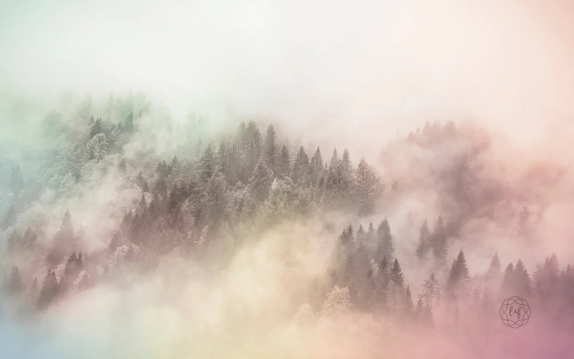 Vente d'hiver
